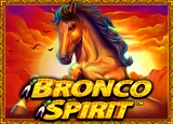 เกมสล็อต Bronco Spirit
